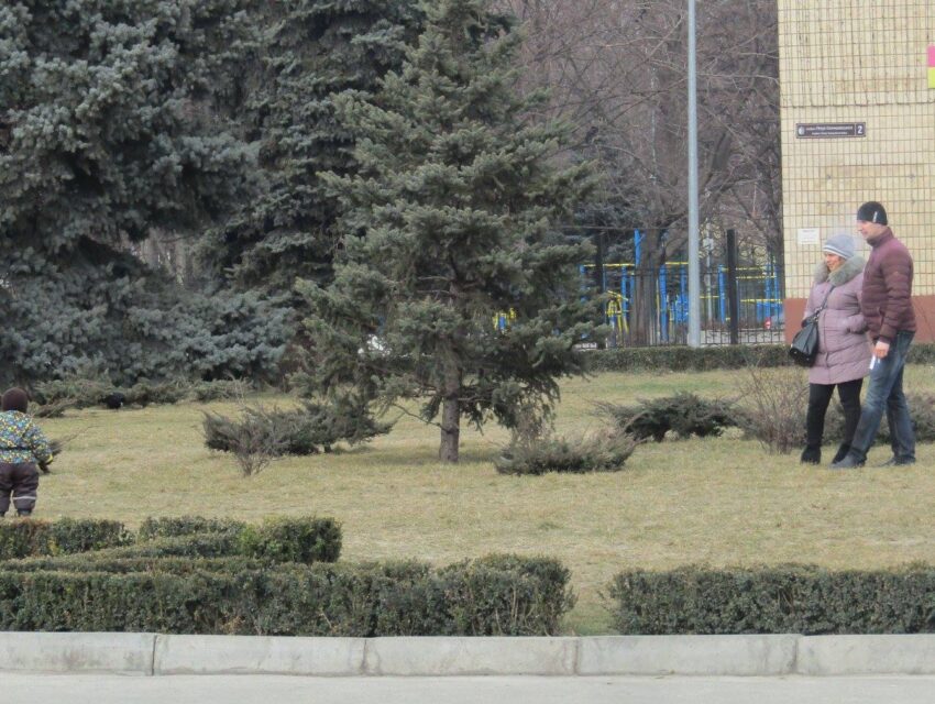 Повчальна історія про клумбу та патріотизм в центрі Кам’янського