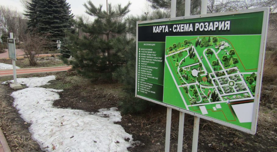 Весняні мрії в розарії «ДніпроАзоту»