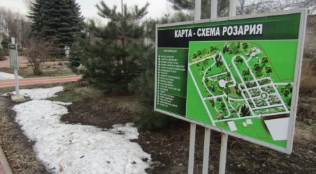 Весняні мрії в розарії «ДніпроАзоту»