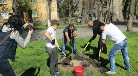 До свідомої та відповідальної участі в озелененні міста закликають кам’янчан влада та наука