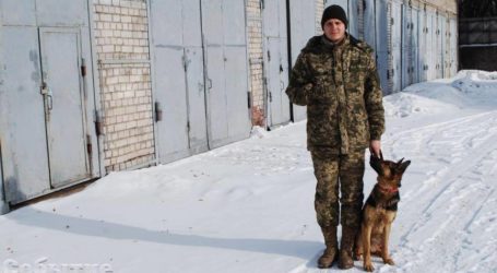 День чотириногих поліцейських, оглядини майбутніх комунальних автобусів та списання старих проектів у Кам’янському
