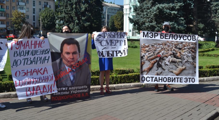 Зоозахисникам в Кам’янському вдалося привернути увагу міської влади до вилову собак на території ДМК
