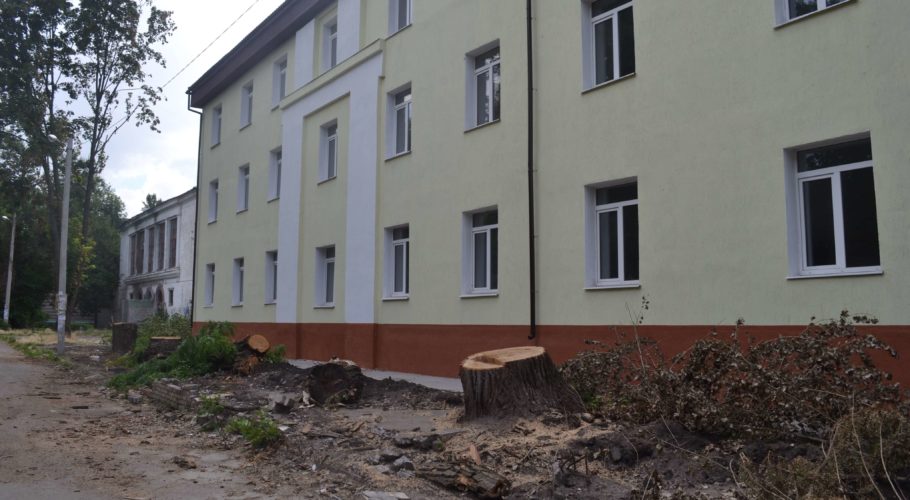 Таємниче спиляні тополі в Кам’янському