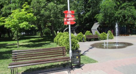 В’юнкі та швидкорослі рослини – для відновлення «зелених легень» та створення затишку в Кам’янському