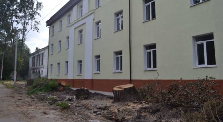 Таємниче спиляні тополі в Кам’янському