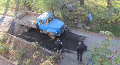 Особливості осіннього благоустрою в Кам’янському