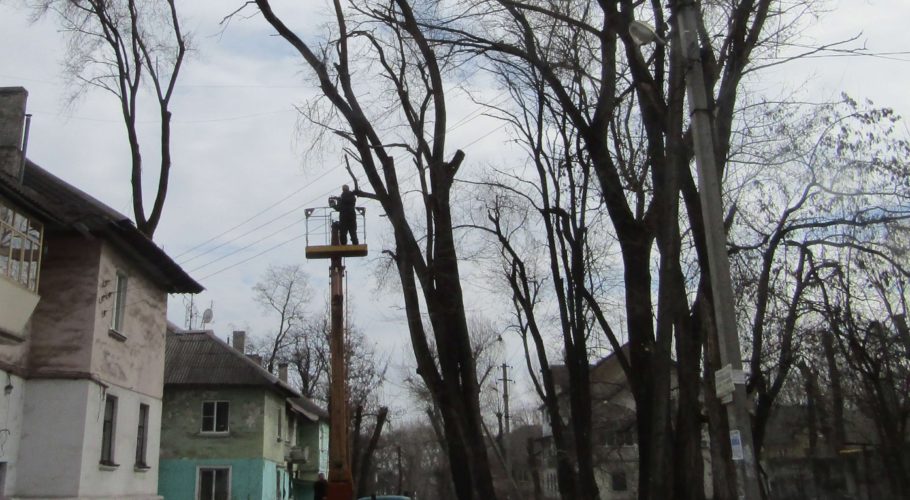 Масштабне обрізання дерев планується в Кам’янському під кінець року