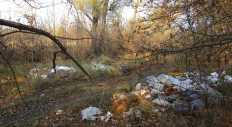 Смітники в лісах під Кам’янським і танок на граблях для простого народу