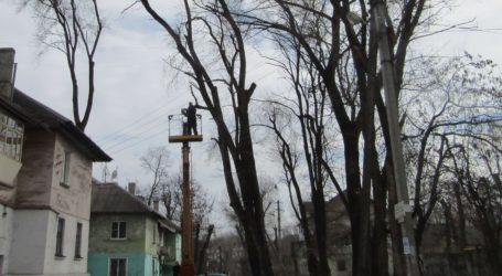 Масштабне обрізання дерев планується в Кам’янському під кінець року