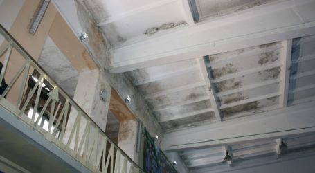 Чорна цвіль – загроза для життя та майна мешканців Кам’янського
