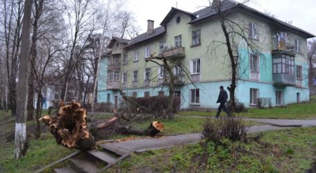Зелені насадження в Кам’янському: падіння в нікуди