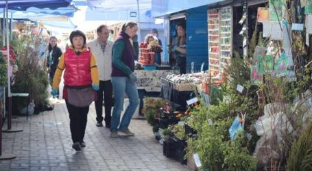 Бізнес в Кам’янському в умовах карантину: послаблення «зверху» та доставка на місцях