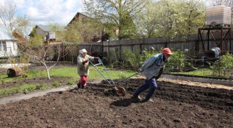 Про початок дачного сезону в Кам’янському та ризики для здоров’я садоводів
