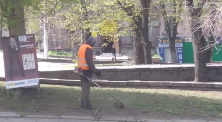 Косіння трави почалось в Кам’янському
