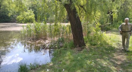 Цікаві місця Кам’янського: вулиця без назви, зникаючі лікарня та гаражі у центрі міста (фоторепортаж)