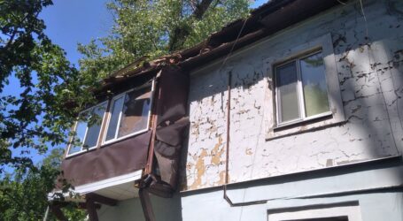 Старі дерева в Кам’янському: загроза і морока