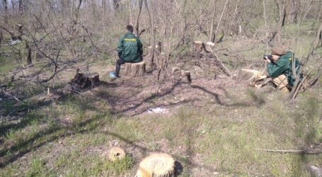 «Антиекологічною» назвали експерти нову Програму діяльності Кабміну України