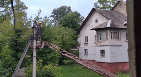 Зламана гілка тополі залишила без світла цілий квартал в центрі Кам’янського