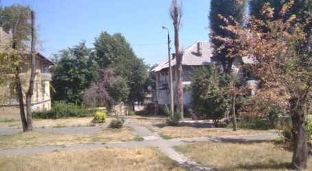 Уроки від стихії для озеленювачів в Кам’янському
