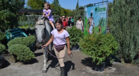 Ярмарка від садового центру «Дворик» на околиці Кам’янського