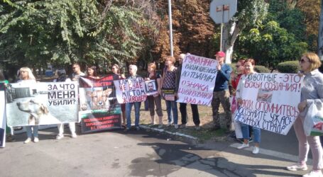 Про бездомних собак, які об’єднують владу, бізнес та громадськість в Кам’янському
