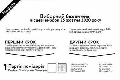 Як голосуватимемо та обиратимемо владу у Кам’янському