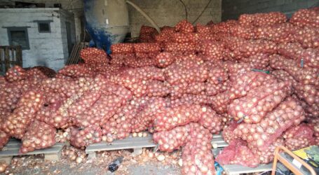 Про ціну овочей з «борщового набору» розповідають фермери з околиць Кам’янського