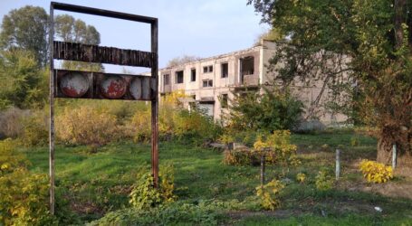Про трудове виховання радянських дітей в Кам’янському: участь в битві за врожай
