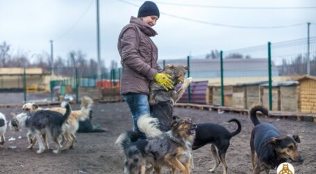 Зоозахист як приклад волонтерства в Кам’янському
