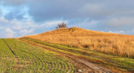 На Дніпропетровщині пограбували курган