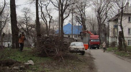 Звільнення дворів від рослинних рештків та рівчаки в сквері проспекту Свободи в Кам’янському