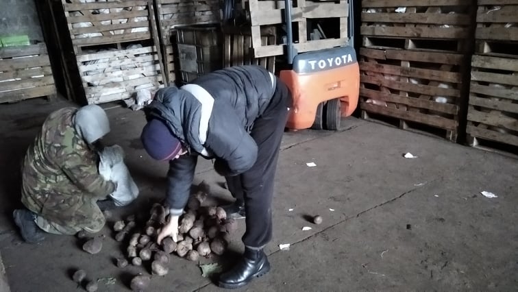 Як клімат та психологія впливають на вартість яєць та буряку на Дніпропетровщині