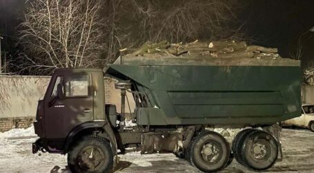 Під Кам’янським затримали чоловіка, який незаконно пиляв дерева