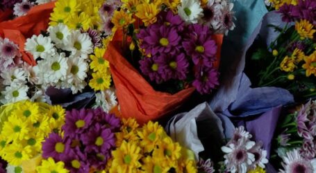 Президент України преміював 6 молодих вчених Дніпропетровщини