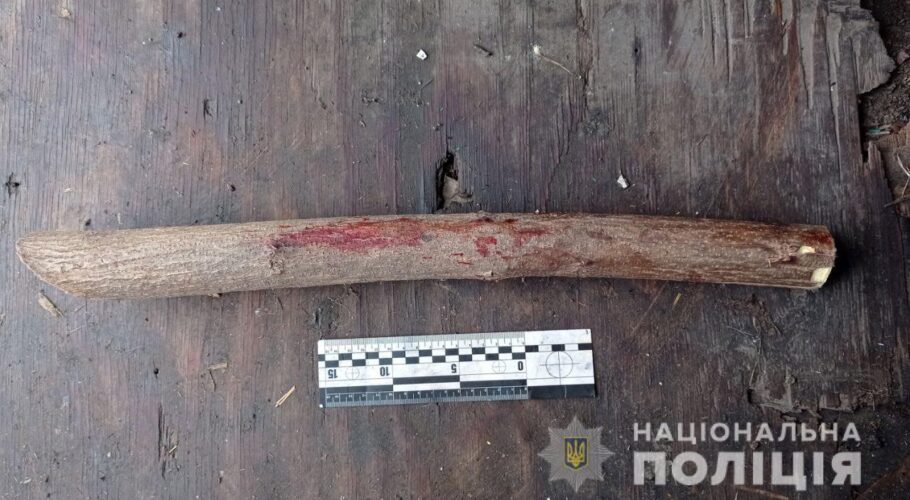На Дніпропетровщині чоловік забив знайомого палицею до смерті та пішов спати