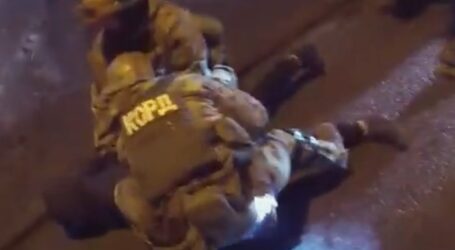 Правоохоронці затримали злочинну групу крадіїв, яка обікрала приватний будинок у Кам’янському