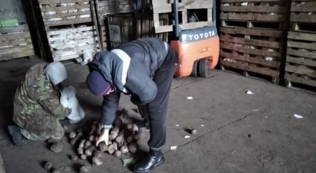 Як клімат та психологія впливають на вартість яєць та буряку на Дніпропетровщині