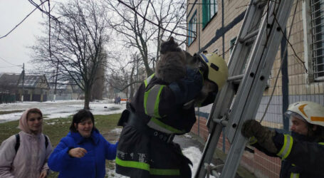 Як у Кам’янському котика рятували