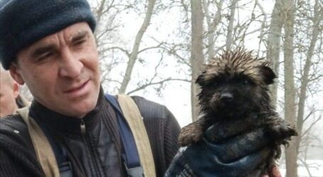 У Кам’янському підписали Меморандум для порятунку тварин