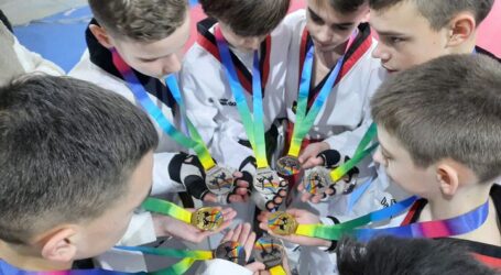 В Каменском соревновались тхеквондисты