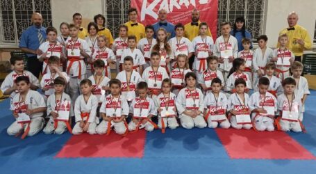 В Каменском соревновались юные каратисты