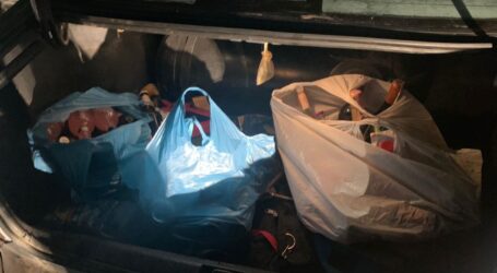 На Дніпропетровщині чоловіки розтрощили та пограбували магазин