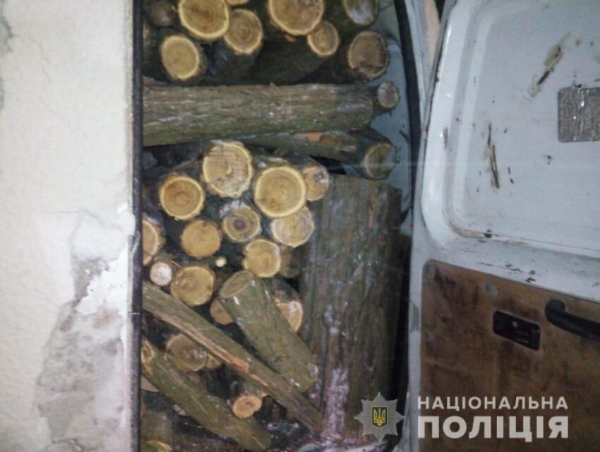 На Дніпропетровщині затримали “чорних лісорубів”