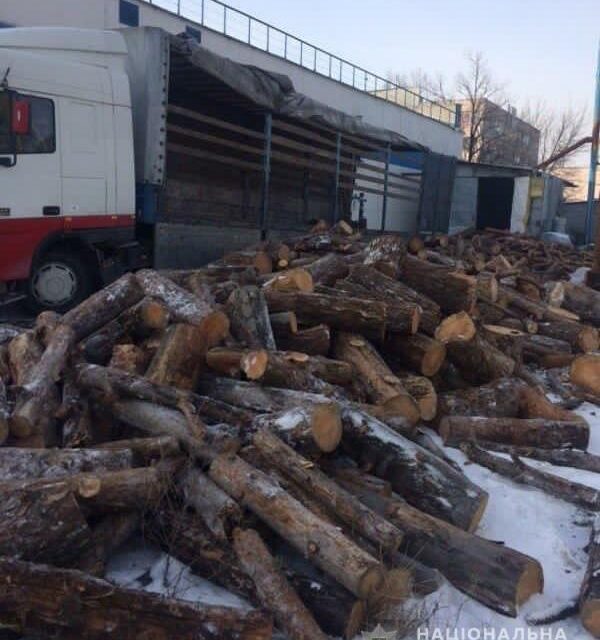 На Дніпропетровщині затримали групу “чорних лісорубів”