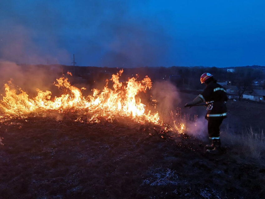На Дніпропетровщині 8 разів горів сухостій