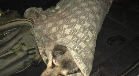 У Кам’янському поліцейські врятували песика