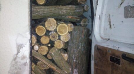 На Дніпропетровщині затримали “чорних лісорубів”