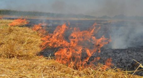 Цієї весни на Дніпропетровщині майже 130 разів горіла стерня