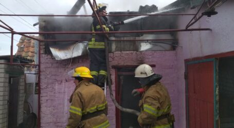 На Дніпропетровщині на пожежі згоріли курчата