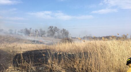 Під Кам’янським горіло більше гектару сухостою